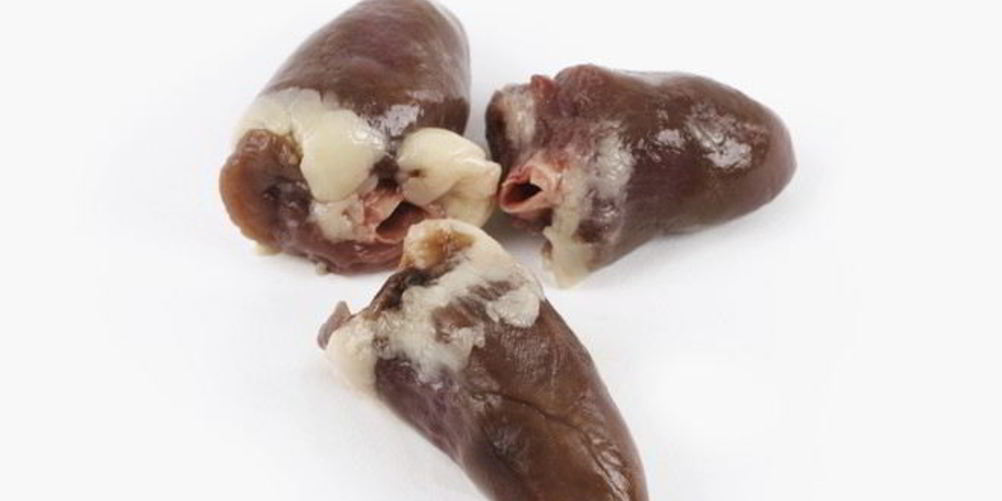 Рецепт сколько варить куриные сердечки до готовности