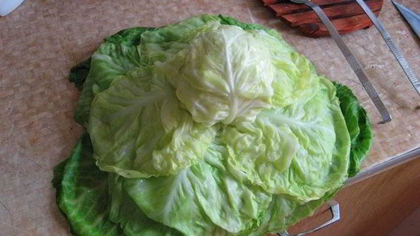 фаршированная капуста