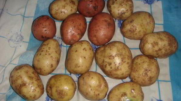 картошка, запеченная с маслом и розмарином