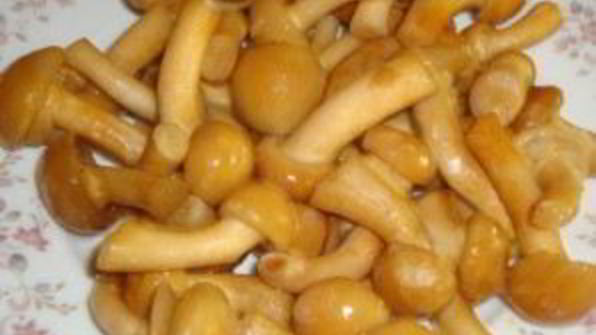 печень говяжья тушеная