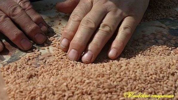 плов классический