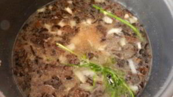 ризотто с грибами в мультиварке