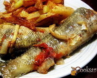 Нототения, запеченная с луком и томат-конфи