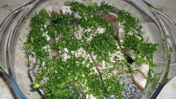 рыба на подушке из фенхеля