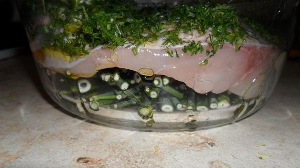 рыба на подушке из фенхеля