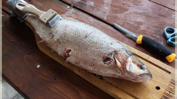 рыба в капусте