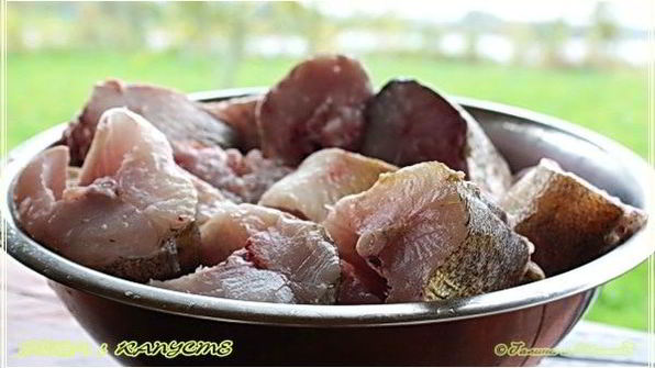 рыба в капусте