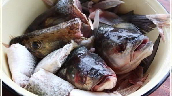 рыба в капусте