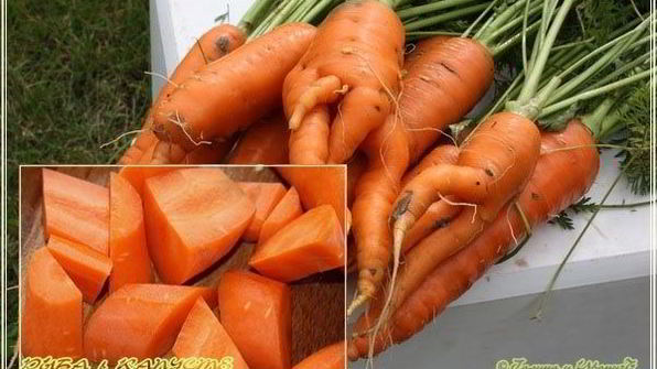 рыба в капусте