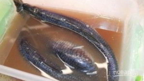 сельдь пряного посола