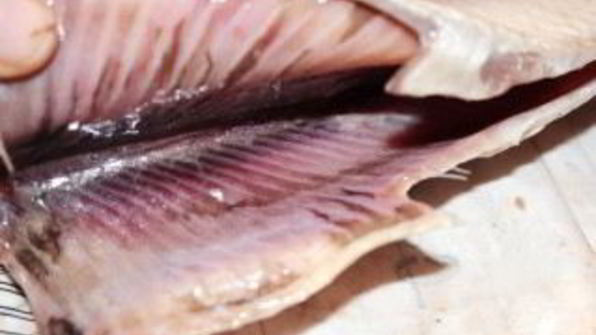 сельдь пряного посола