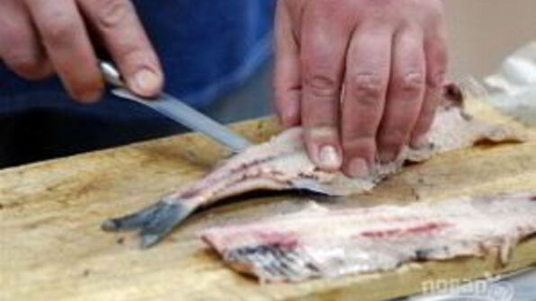 селедка соленая