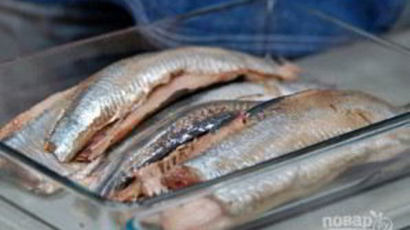 селедка соленая