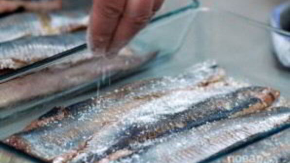 селедка соленая