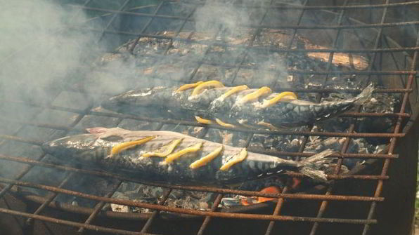 скумбрия запеченная на мангале с лимоном и зеленью