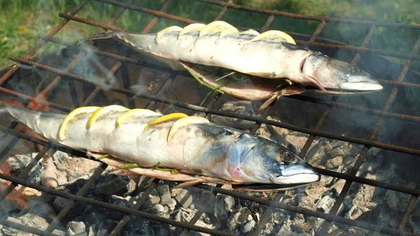 скумбрия запеченная на мангале с лимоном и зеленью