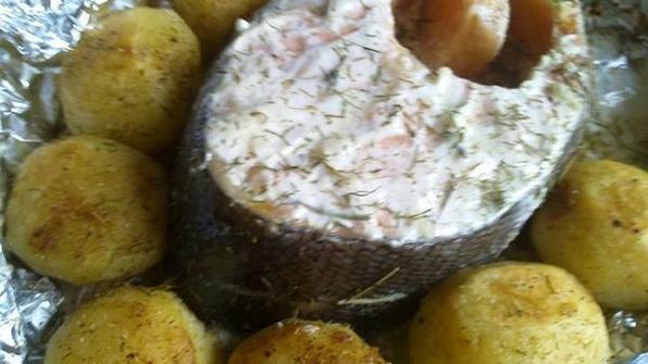 запеченная форель в кефирном маринаде