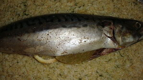 запеченная скумбрия в рисовой шубке