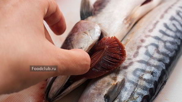 запеченная скумбрия