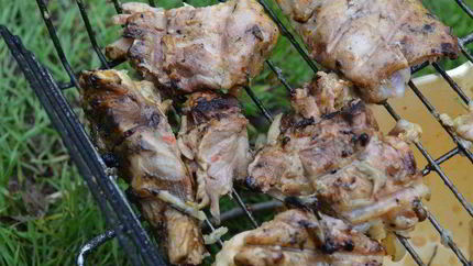 Мясо на костре