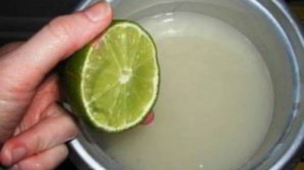 полинезийский шашлык