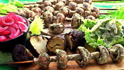 Шашлык грибы в сметане