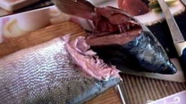 шашлык из горбуши