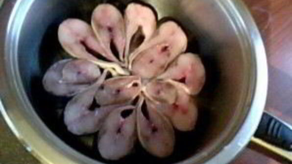 шашлык из карпа