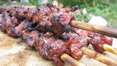 Шашлык из лосятины