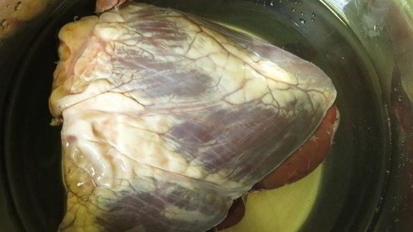 шашлык из сердца