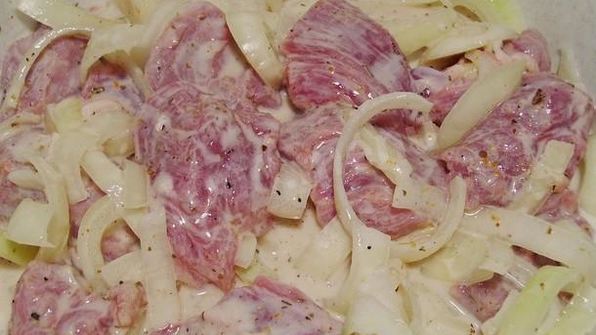 шашлык из свинины с луком