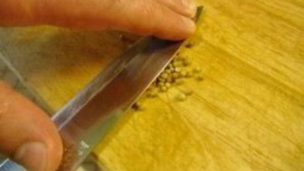 шашлык по-русски