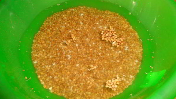 гречневые тефтели