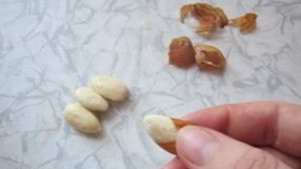 кутья из риса