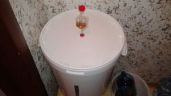 домашнее пиво из концентрата