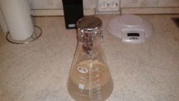 домашнее пиво из концентрата