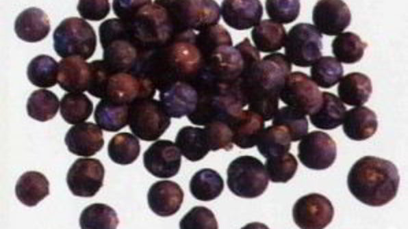 домашнее пиво из свеклы