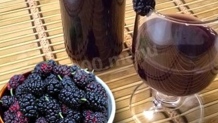 Домашнее вино из шелковицы