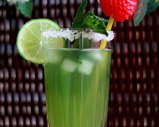 Домашний тархун