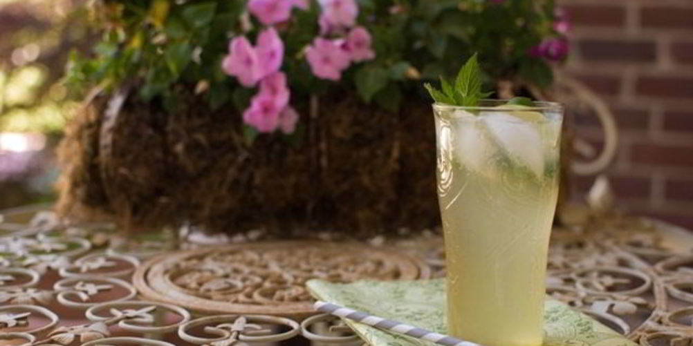 Рецепт имбирный эль