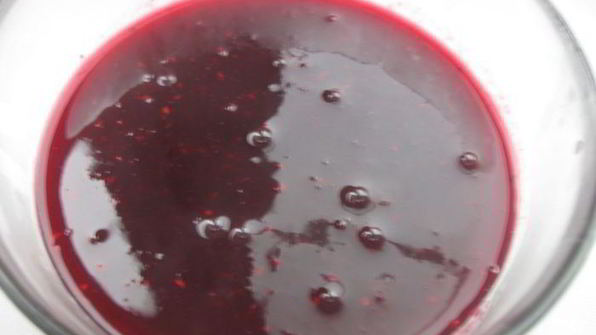 индейка, глазированная медом с клюквенным соусом и персиком в легком сиропе