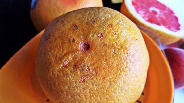 коктейль нежный нектар