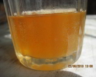 Хлебный квас