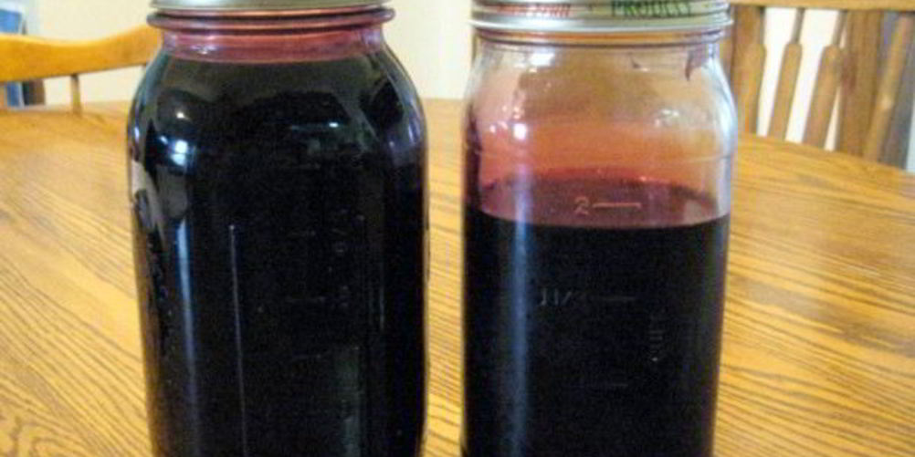 Рецепт сироп шелковицы