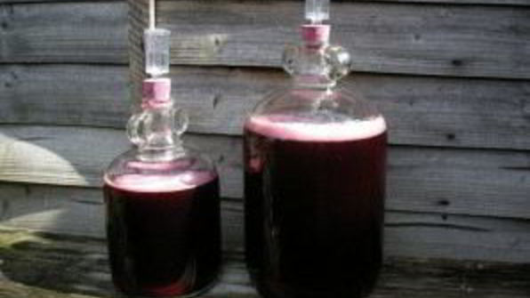 вино из черной смородины без дрожжей