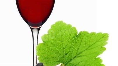 Вино из черной смородины с сахаром