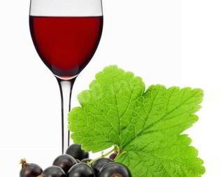 Вино из черной смородины с сахаром