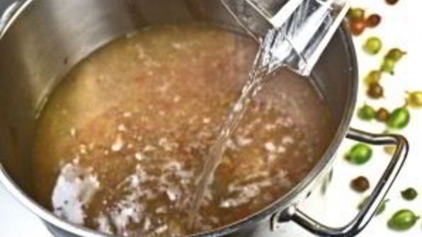 вино из крыжовника