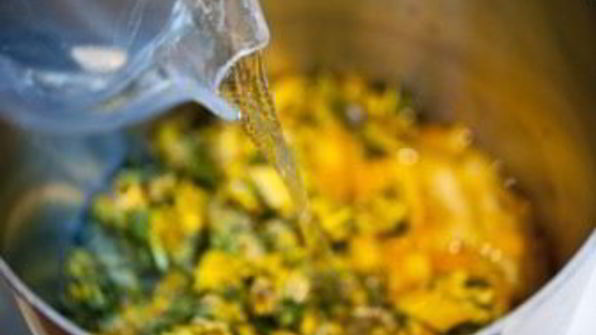 вино из одуванчиков