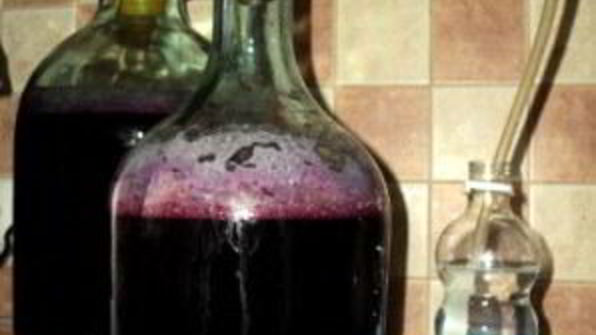 вино из сливы